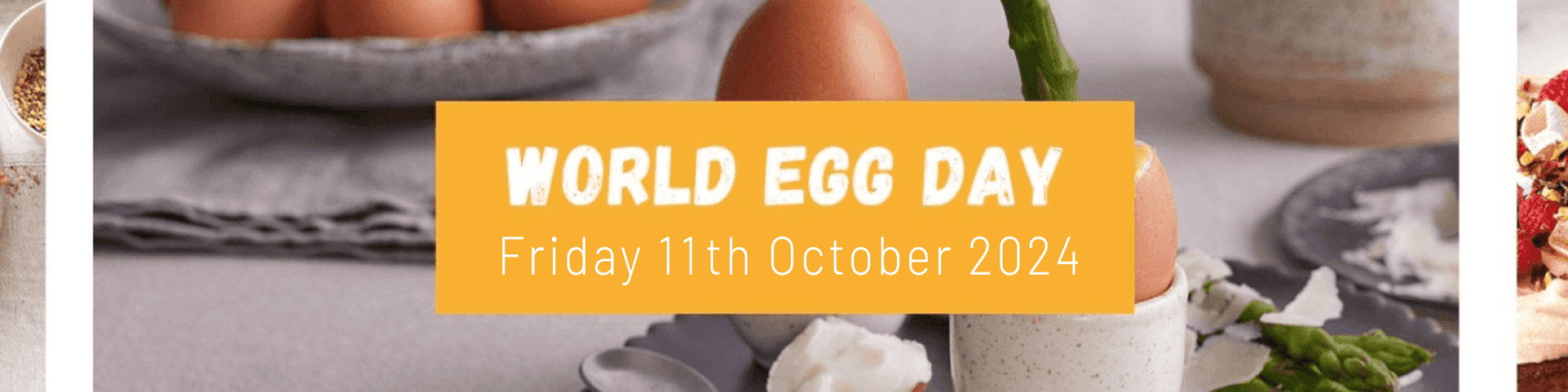 19 01 24 World Egg Day Banner