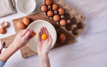 willowcreative Aus Eggs   316608 1